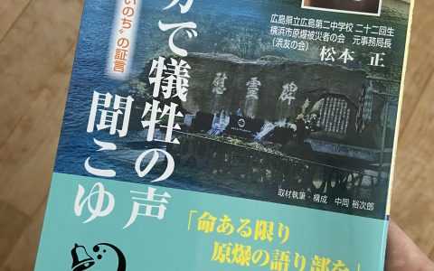 「ピカで犠牲の声聞こゆ」を読んで